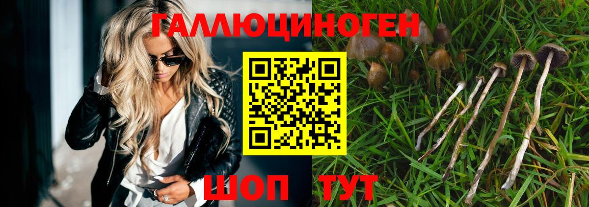 Псилоцибиновые грибы Cubensis Приморско-Ахтарск