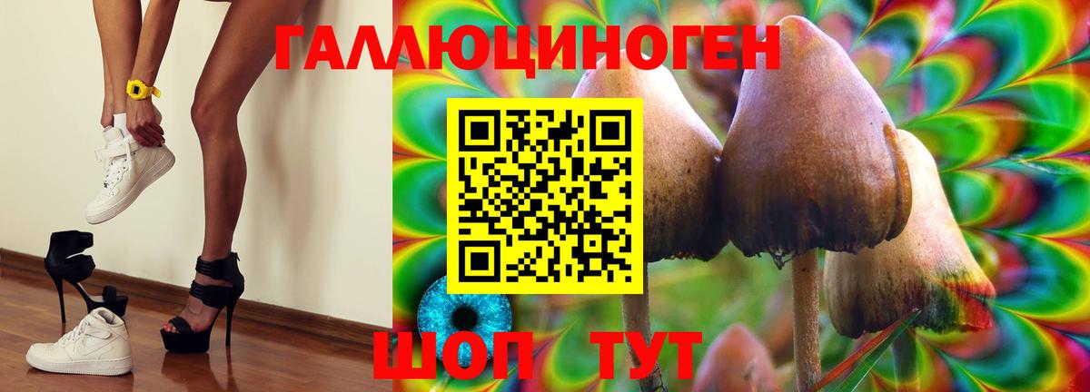 Псилоцибиновые грибы Cubensis  купить  цена  Приморско-Ахтарск  Вход с VPN 